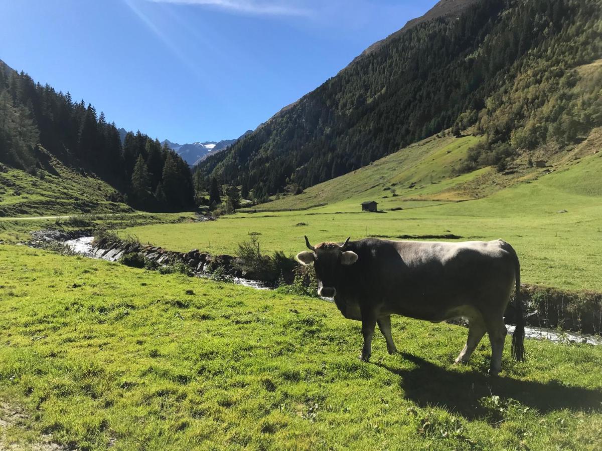 Hotel Almhof Neustift im Stubaital